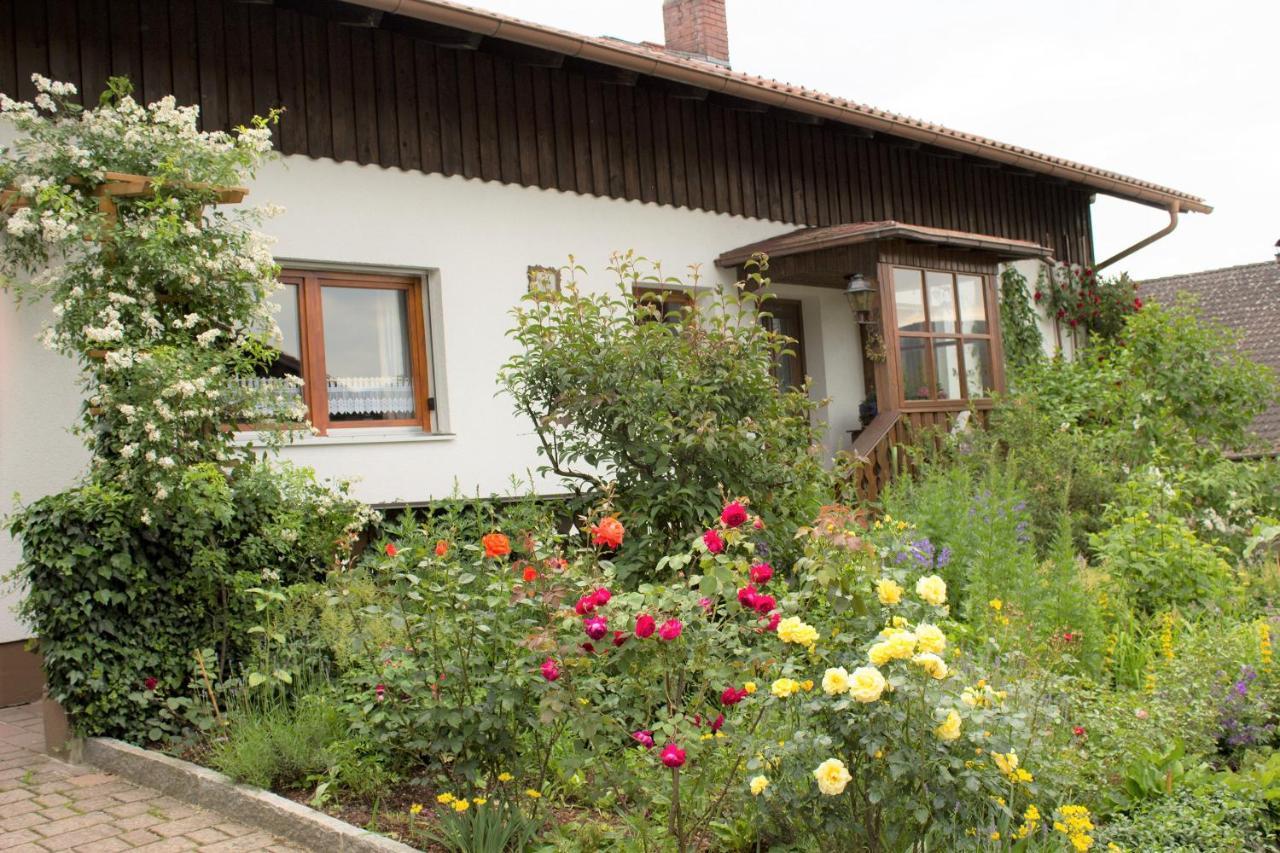Ferienwohnungen Irene Konstandin Bischofsmais Kültér fotó